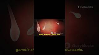 This Gene Cheats by Killing Rival Sperm #youtubeshorts #Evolution #sciencefacts #biology #DNA