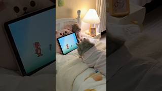 Focus Layan Tom And Jerry