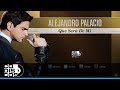 Alejandro Palacio A Dúo Con Rafael Orozco - Que Será De Mi (Audio)