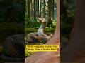 What Happens Inside Your Body After a Snake Bite? #howyourbodyworks #bodymechanism #snakebite