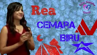 Rea - Cemara biru