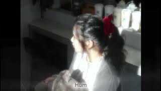 “Nắng Có Mang Em Về” (Hood Trap Cover) - [Hum]