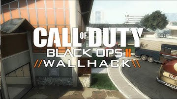 Call of Duty Black Ops 2: Wallhack | WH / Aimbot in Multiplayer [HD]