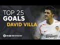 Top 25 goals david villa en laliga santander