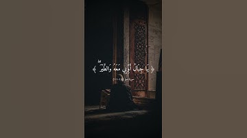 تلاوة هادئة بصوت ناصر القطامي ارح سمعك 🎧♥