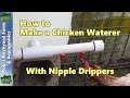 How to Make an Automatic Chicken Waterer with Nipple Drippers