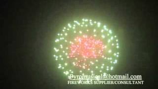 Fireworks sample show(shell)185