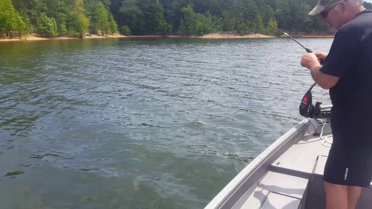 Catching a Catfish Lake Ouachita YouTube