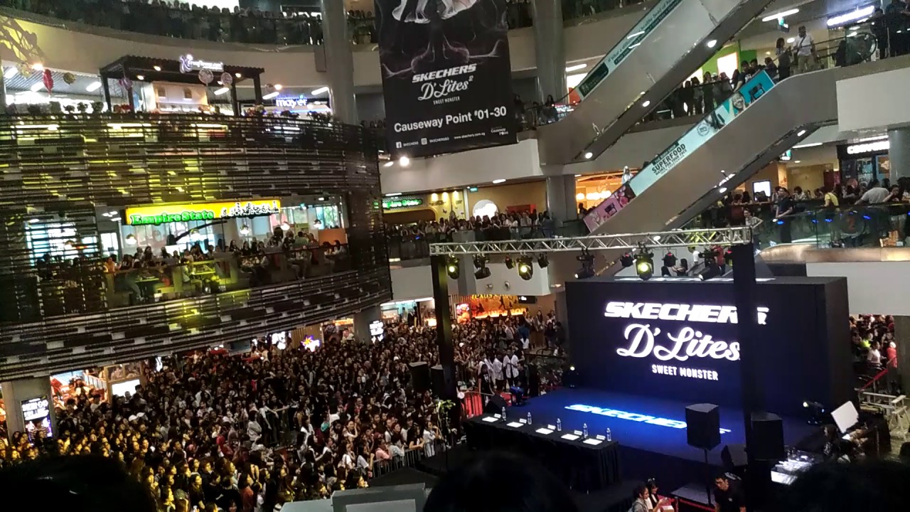 causeway point skechers