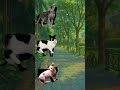 Come on, guess the picture of the Lykoi cat, Manx cat and Minskin cat #quiz #cat #animals #animation