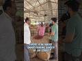 Largest chilli yard in India | Red chilli export