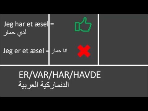 Video: Hvad Er Forskellen Mellem Et æsel Og Et æsel?