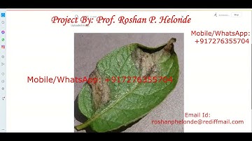 Potato Leaf Disease Detection Using CNN Convolutional Neural Network | Python Source Code Projects
