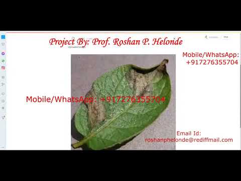 Potato Leaf Disease Detection Using CNN Convolutional Neural Network | Python Source Code Projects