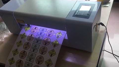 LY-388A digital automatic label die-cutting machine with auto paper feeding 220V 110V 60W