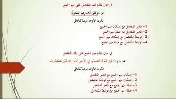 أول سورة البقرة برواية قالون عن نافع بالجمع بين وجهي ميم الجمع ووجهي المد المنفصل - محمد بن عمارة