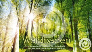 Forest Bathing: Sounds of Nature by Malcolm Southbridge (PureRelax.TV)