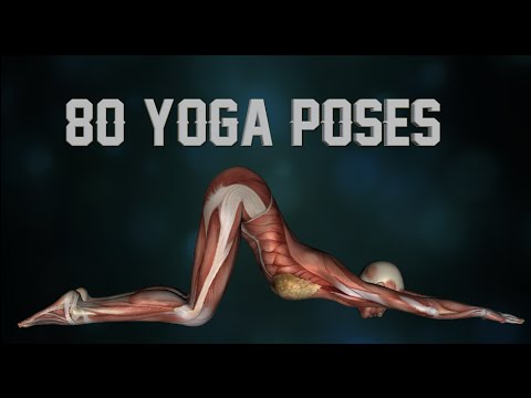 How many Yoga Asanas are there? - Quora