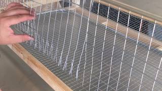 How we built our quail condo, each tray in this cage is enough space
for 30 at a 4 bird sf. you could easily adapt to have levels meaning
y...