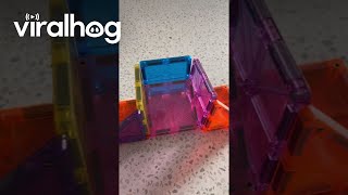 Magnet Tile Hologram || ViralHog