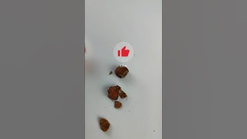 Homemade nutcracker and walnut cracker✅🔨#fruit#hazelnut#walnut#shorts