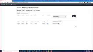 Asignar Alias y Numeración a los Activos
