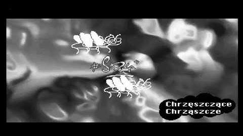 back 2 roots - amiga demo 2000/01