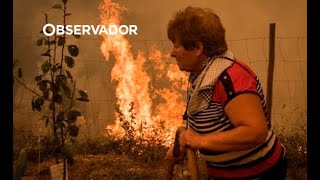 Mais de 8.500 hectares já arderam no centro do país