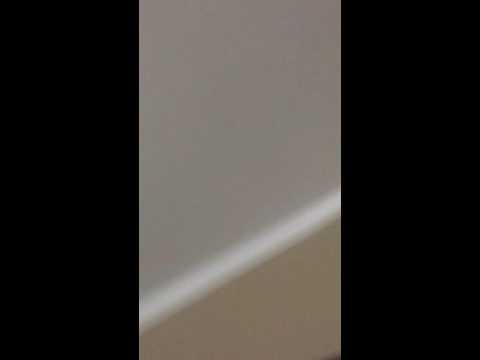 Beating The Bop It Blast On Vox Bop