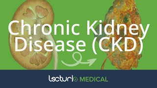 Chronic Kidney Disease (CKD): Causes | Nephrology