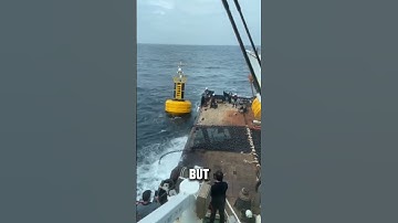 How Navigation Buoys Stay In Place/#Facts #Science #brain #Wow #Smart #Shorts