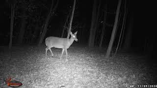 1 20201109 0019 Doe
