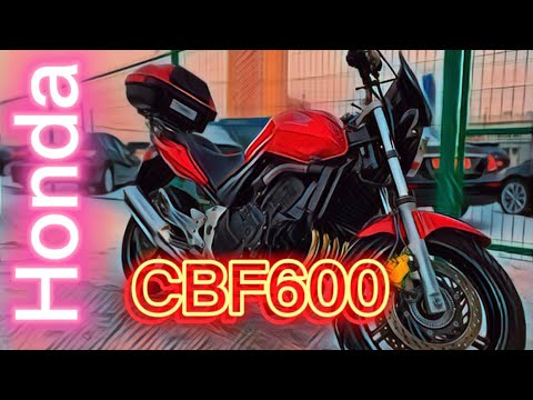 Обзор мотоцикла Honda CBF600 без пробега по РФ