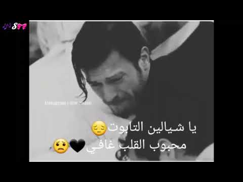 فهد القصير ياشيالين التابوت