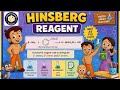 Chhota Bheem’s Chemistry Trick for Hinsberg Reagent ✨