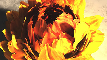 Nascent Bloom to Vue Render