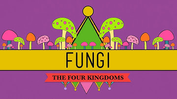 Fungi: Death Becomes Them - CrashCourse Biology #39