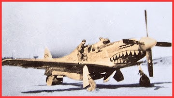 Japanese Pilots Were Shocked When A Captured P 51 Mustang Revealed America