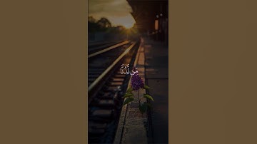 يا يحيى خذ الكتاب بقوة وآتيناه الحكم صبيا | تلاوة قرانية مؤثرة للشيخ المنشاوي من سورة مريم