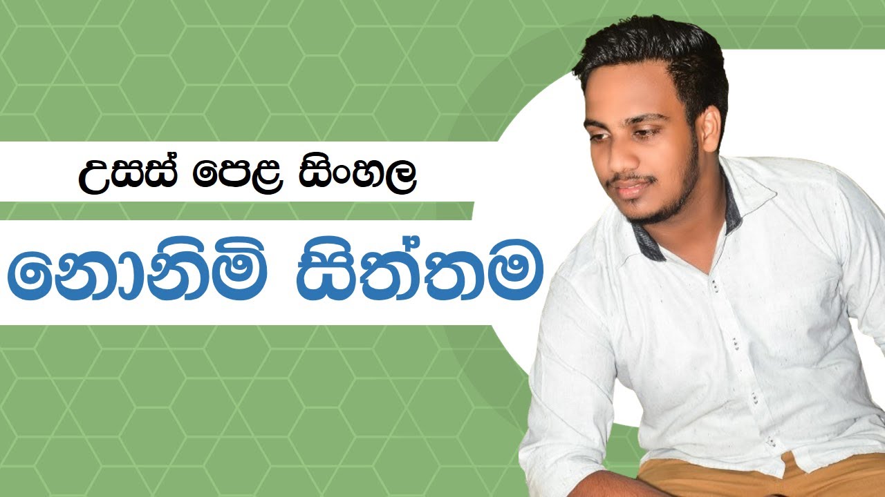 උසස් පෙළ සිංහල | නොනිමි සිත්තම කෙටිකතාව