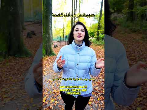  أغلب منتجاتنا اليومية بتحتوي على مادة الجيلاتين المستخلصة من حلال دهون خنزير