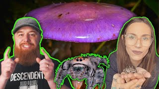 Tarantula Kat  Spiders, Mushrooms, & TROLLS!