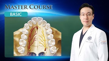 [Master Course - BASIC] Anatomic Considerations for Implant Dentistry PART 2 -Maxilla