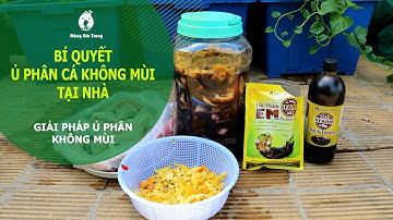 Bí quyết ủ phân cá không mùi tại nhà bằng EM Plus Trichoderma SFARM