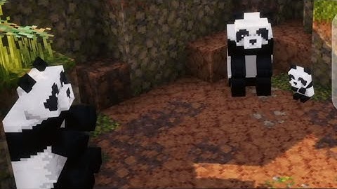 Minecraft: Things YOU Should Know About PANDAS!