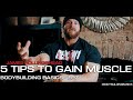 5 KEY TIPS TO GAIN MUSCLE Like a Pro!  - Bodybuilding Basics EP7