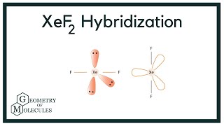 Hybridization of XeF2 (Xenon Difluoride)