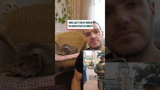 Мясо дает силы? Можно ли накачаться без мяса?  #здоровье  #похудение #фитнес  #бодибилдинг