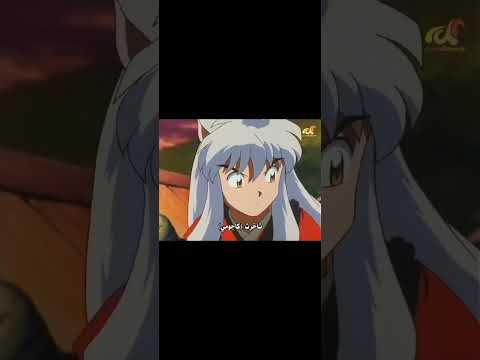 انيوشا غاضب وشيبو يكرر كلام انيوشا