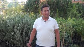 Sektörde Öncü Güverci̇n Fi̇danlik